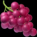 Grape v3 Logo