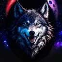 SPACEWOLFGG's server Logo