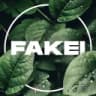 Fakei (New Mr.Guest) Logo