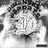 Dimension Esports ™ Logo