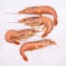 shrimp central Logo