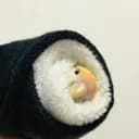 SUSHI BIRB Logo